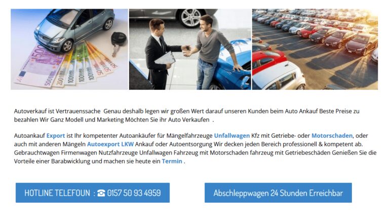 Ankauf von Unfallautos in Plauen